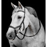 Hoofdstel Horseware Micklem Deluxe Competition - Zwart