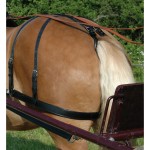 Euro Chetak Terugtrekken