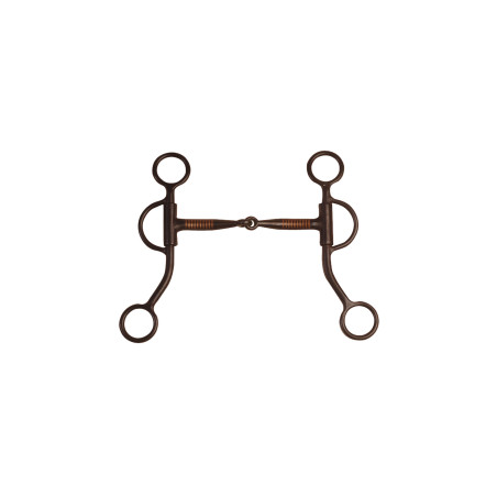 Zwarte Pool’s westernbit met koperen mondstuk