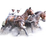 Anatomisch dubbel MARATHON-harnas Eric Le Tixerant