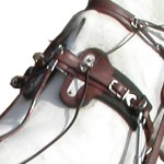 Marathonzadel Eric Le Tixerant