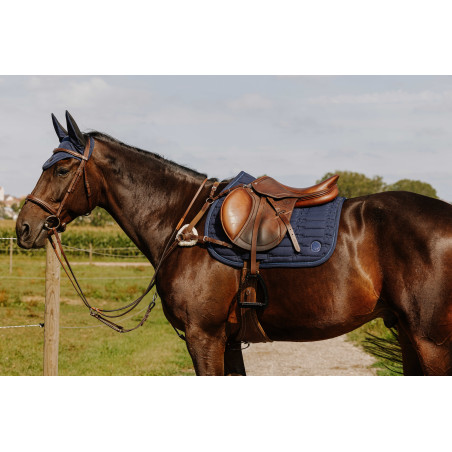 Borsttuig NORTON - 5 punten