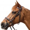 Bridon Privilege Equitation Grandville gecombineerd - Zwart