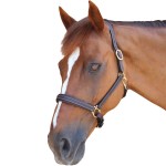 Halster Privilege Equitation La Baule