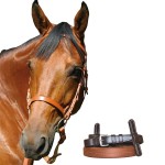 Chetak trainingshooflap