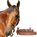 Chetak racehoofdstel