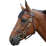 Bridon halster groot Chetak