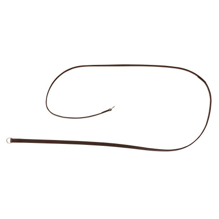 Lederen gogue-teugels Riding World