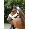 Halster Equithème Teddy - Marine / écru → Marine / ecru