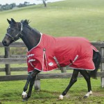 Weatherbeeta ComFiTec Classic 220 g deken