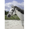 Bridon Riding World Kruisneusriem - Zwart