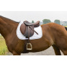 Tapijt Riding World Girly - Bordeaux