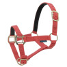 Nylon halster met lederen voering Norton - Rood
