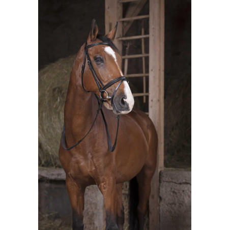 Rubberen teugels Norton Pro