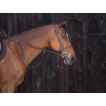 Martingaal met ringen Riding World - Havana