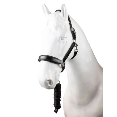 Leren halster met bijpassend halstertouw Horze Dynasty