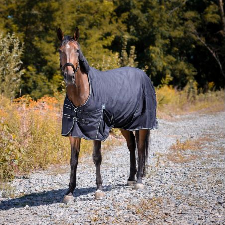 Waterdichte Oxford-deken Riding World