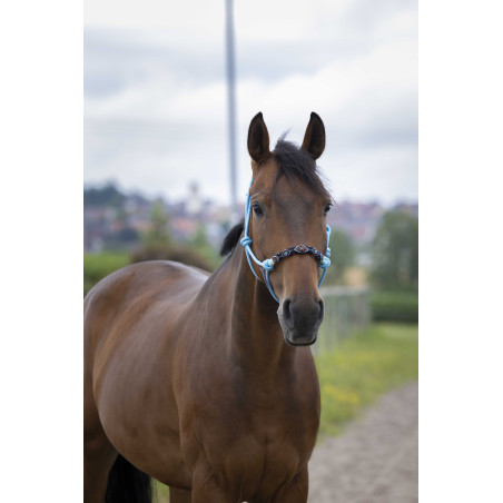 Ethologische halster Norton Pearl