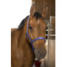 Norton Reflective halster - Blauw