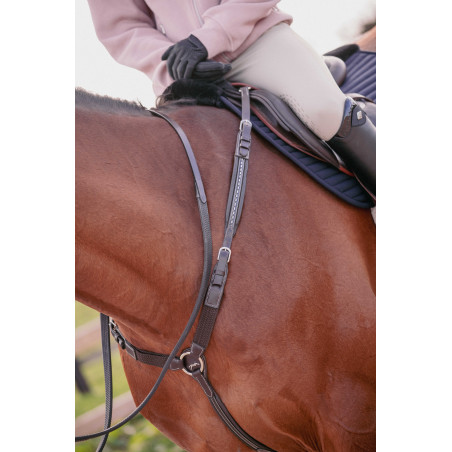 Martin collier Pénélope