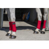 Polo bandages Riding World Eco - Rood