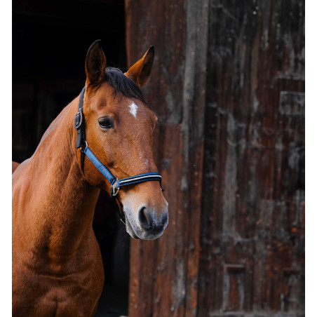 Nylon halster Equithème Domino