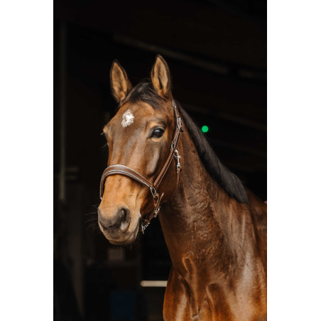 Leren halster Norton Rock