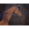 Martingaal met ringen Riding World - Zwart