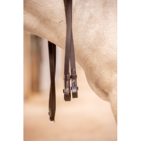 Teugels Eden Pénélope