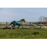 Equithème TYREX 600D deken - Groen