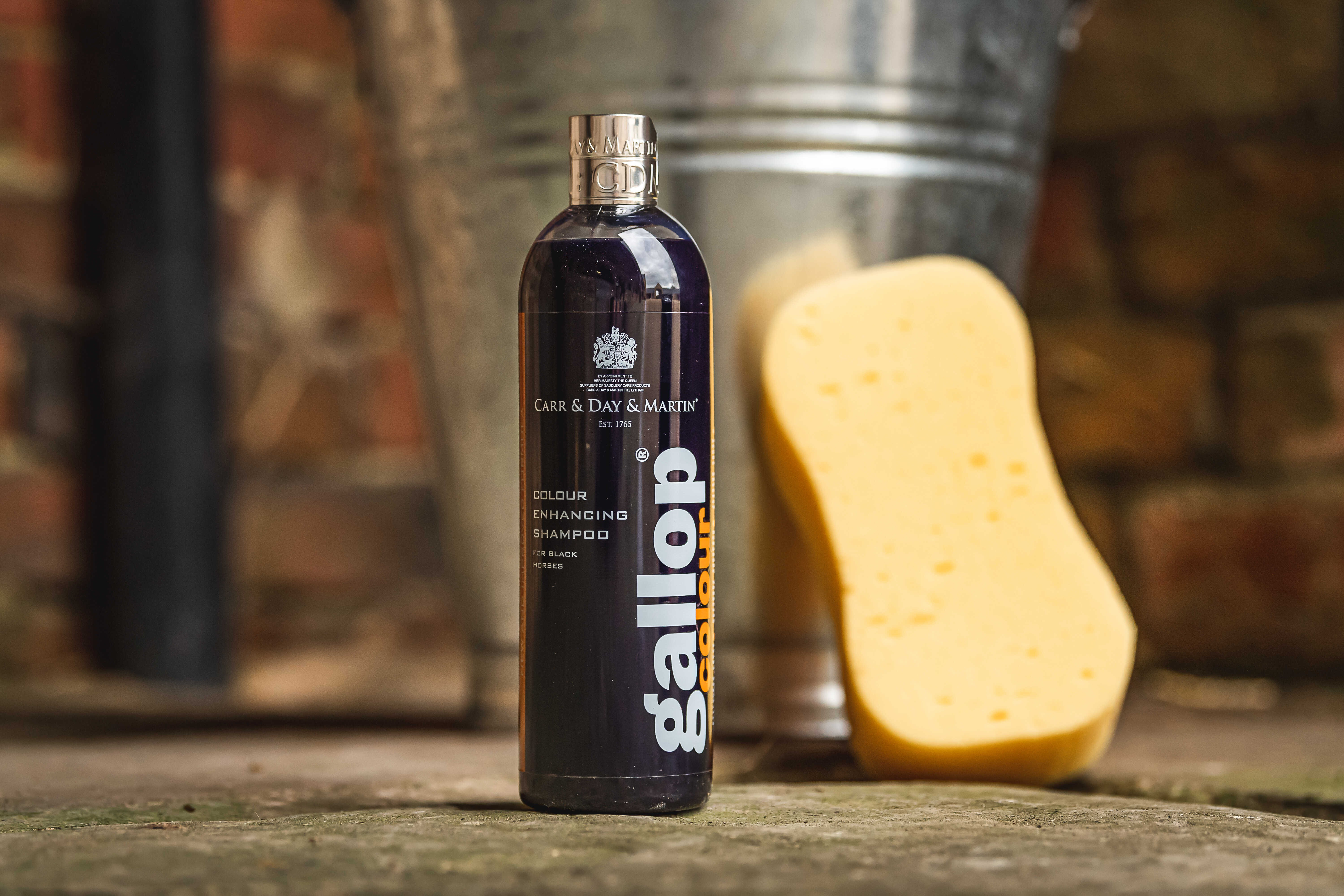 Gallop® Shampoo Carr & Day & Martin Zwart Gallop® Shampoo Carr & Day & Martin Zwart