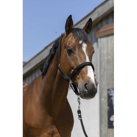 Halster Norton Satijn