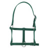 Halster veulen Riding World - Donkergroen