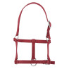 Halster veulen Riding World - Bordeaux