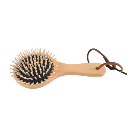 Ronde borstel van beukenhout Borstiq