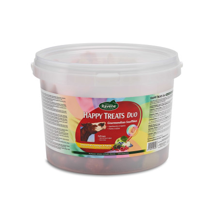 Happy treats duo Ravene