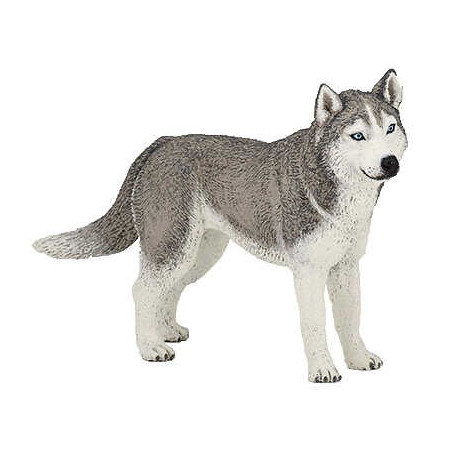 Siberische Husky-figuur Papo