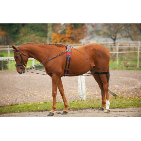 Norton katrollenhulpteugel