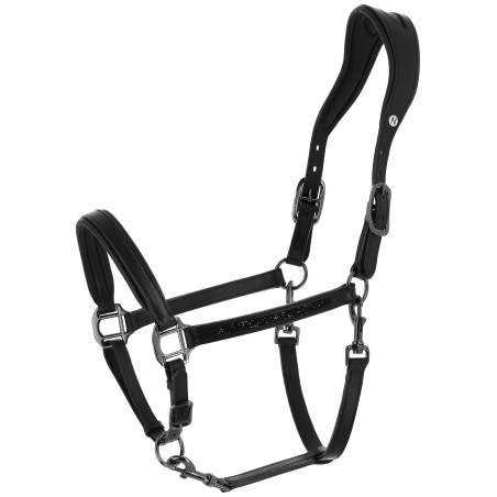 Norton Anatomisch Halster Crystal