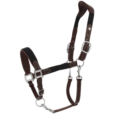 Norton Dualy halster