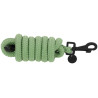 Longe Equithème Pearl - Groen