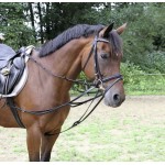 Driehoekige teugels Covalliero