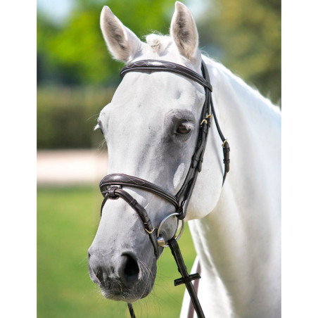 Hoofdstel met kopstuk Tattini met geborduurde frontriem en halster