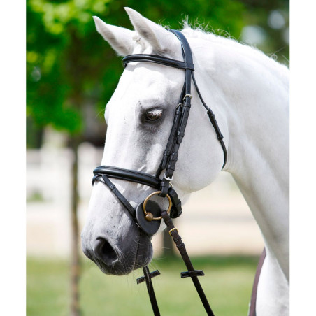 Tattini hoofdstel met gevoerde kopstuk, frontriem en halster