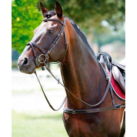 Tattini borsttuig met elastiek en afneembare halsriem