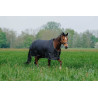Equithème TYREX 600D deken - Groen