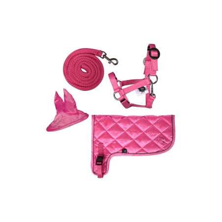 Neonset HKM Hobby Horse
