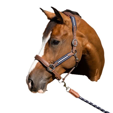 Antares stressless halster met nerfpatroon