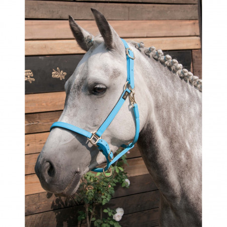 Halster Biotack® T de T