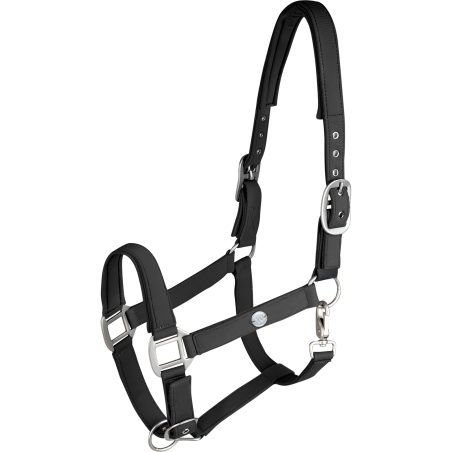 Halster Waldhausen Trinidad